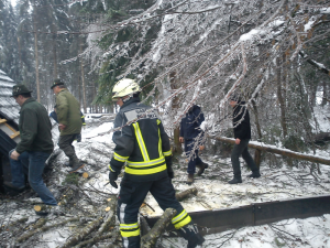 Žledolom 2014 (3)