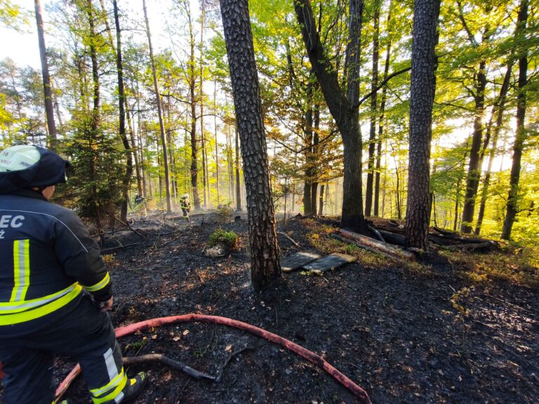 Požar gozda – Križ